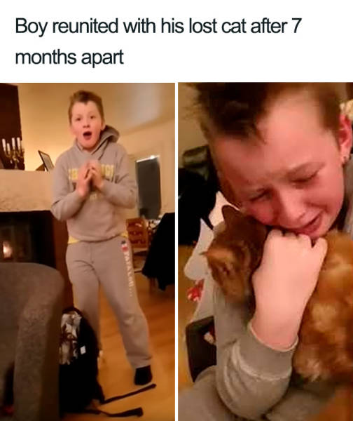 Content Image