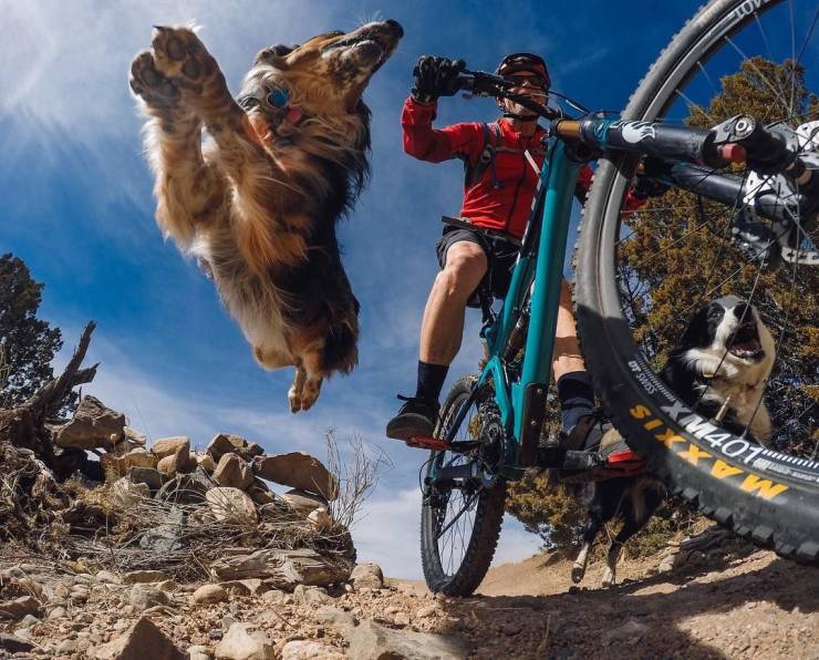 Daily Picdump [WEEKEND EDITION]
