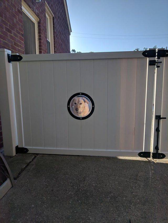 Daily Picdump [WEEKEND EDITION]