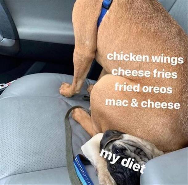 Content Image