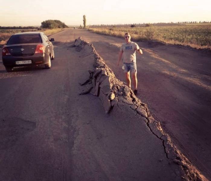 Daily Picdump