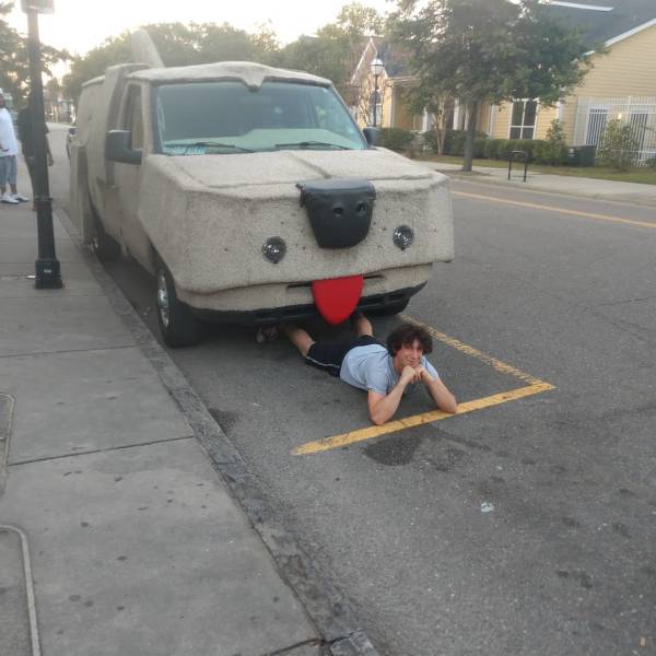 Content Image