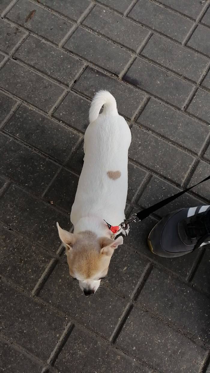 Daily Picdump