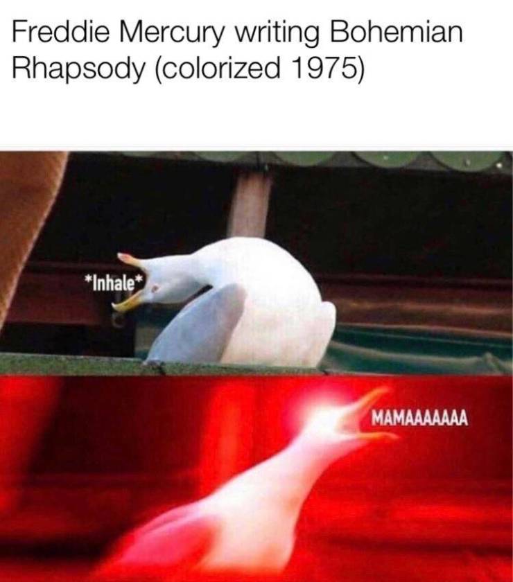 Content Image
