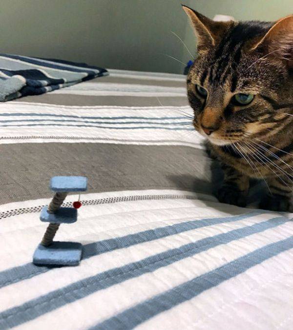 Hard-to-explain WTF Photos