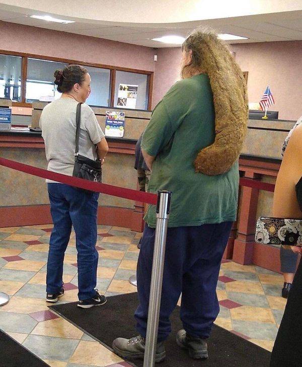 Hard-to-explain WTF Photos