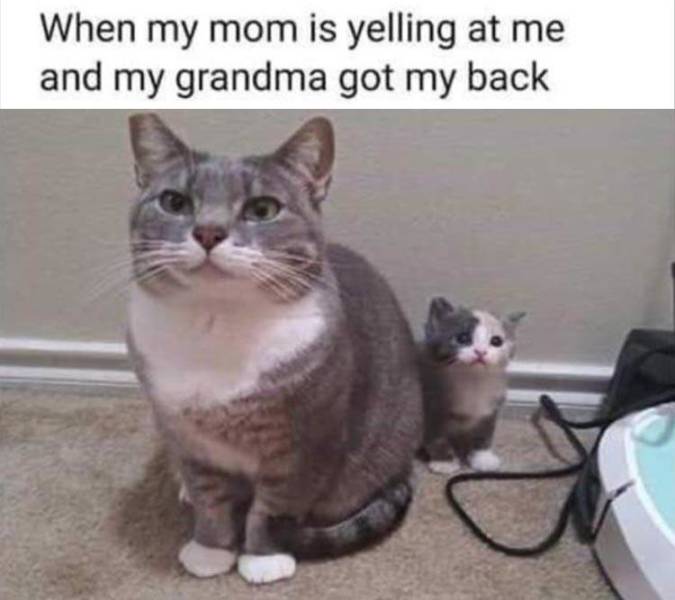 Content Image
