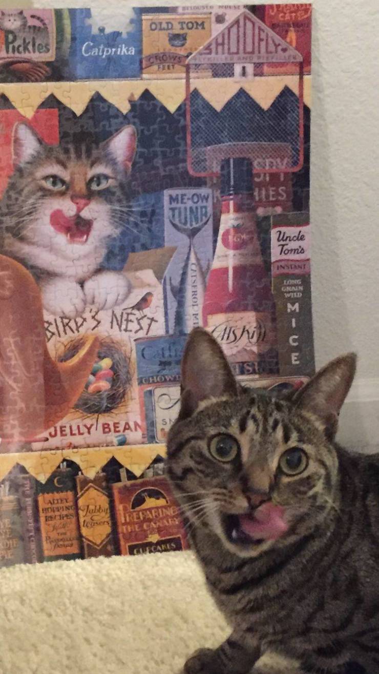 Daily Picdump