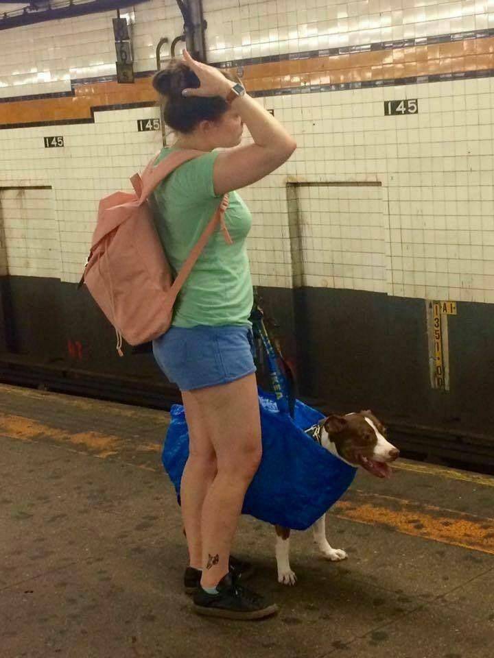 Daily Picdump