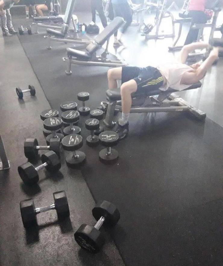 Content Image