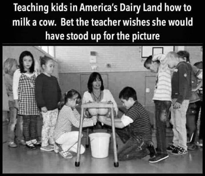 Funny Picdump