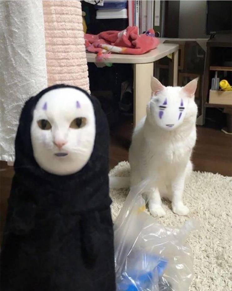 Funny Picdump