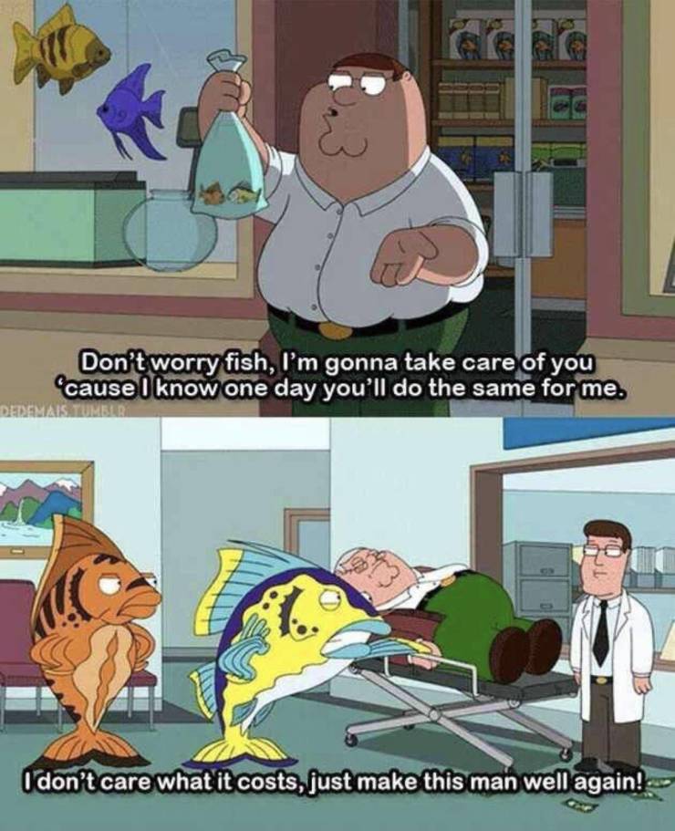 Funny Picdump