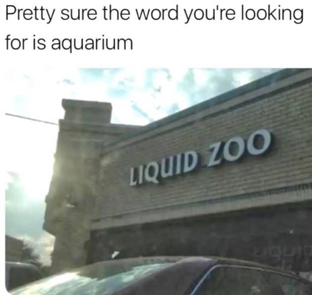 Funny Picdump