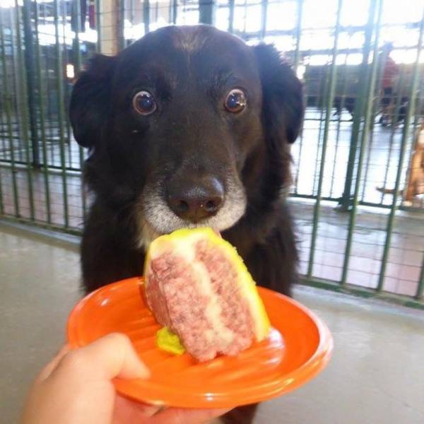 Content Image