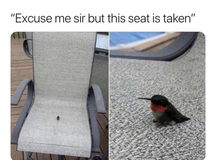 Content Image