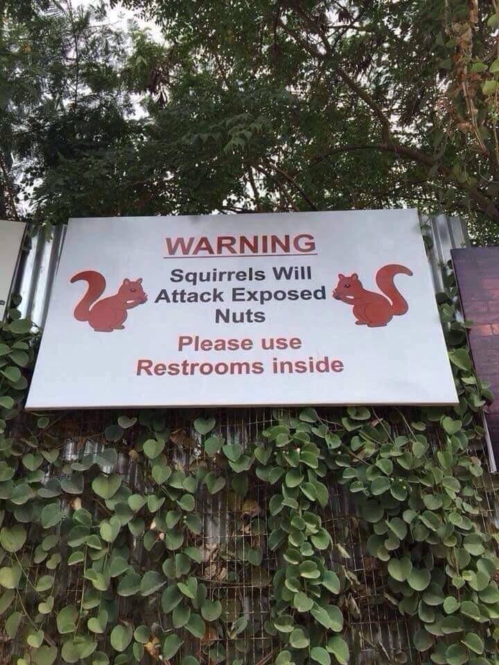 Content Image