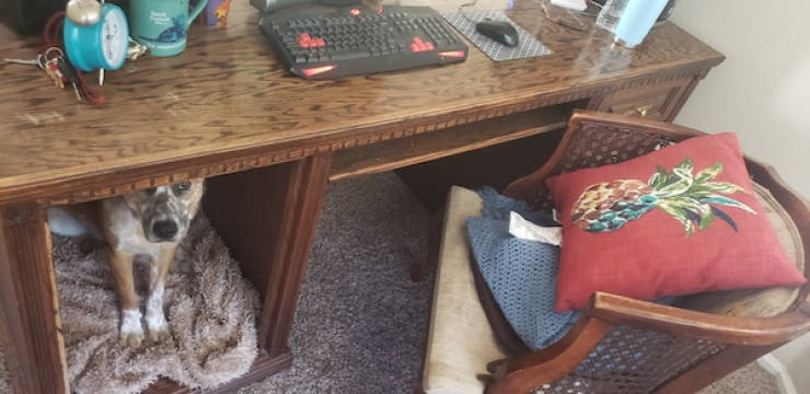 Are You Gaming Yet?