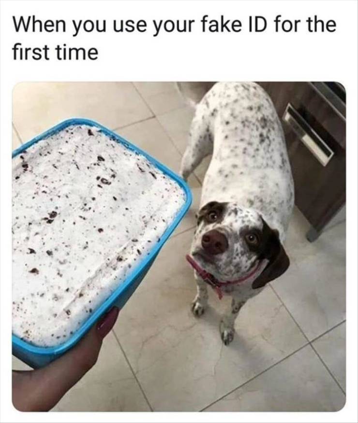 Content Image