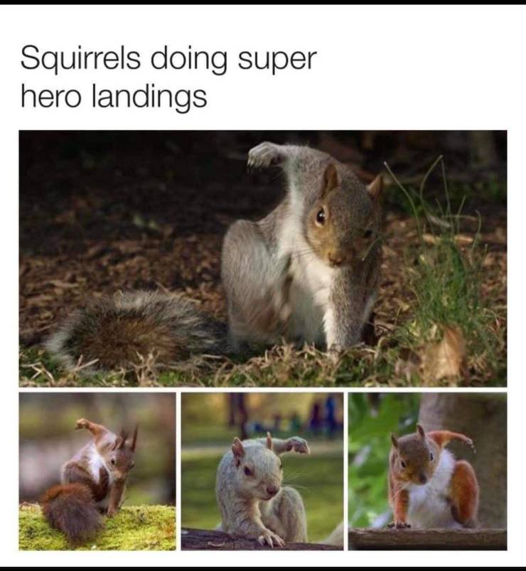 Content Image