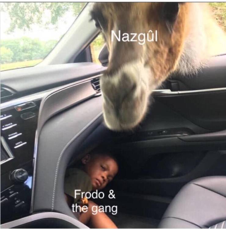 Content Image