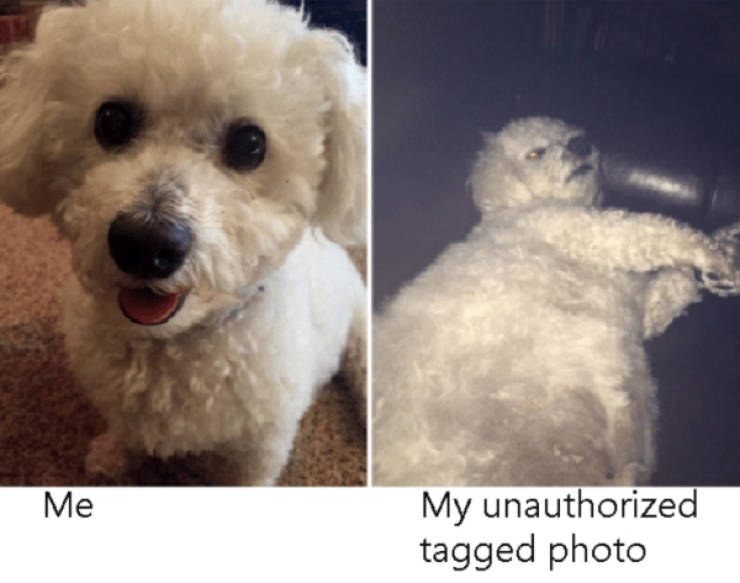 Real Life You Vs. Internet You