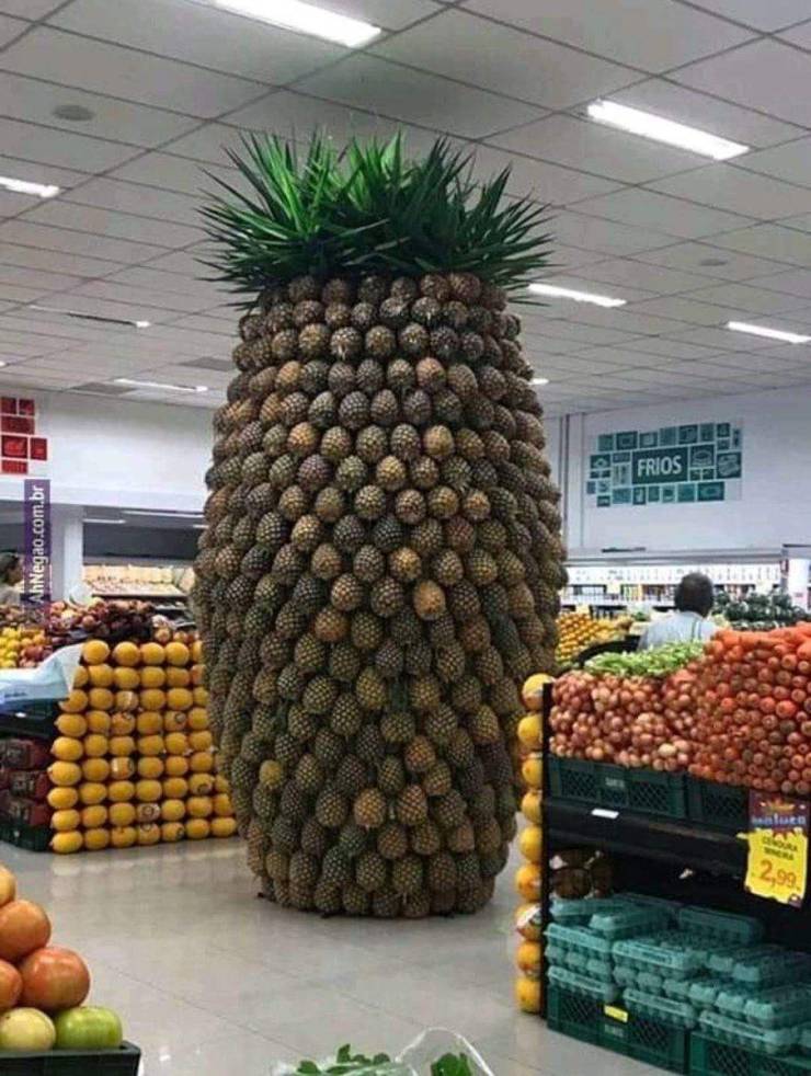 Content Image