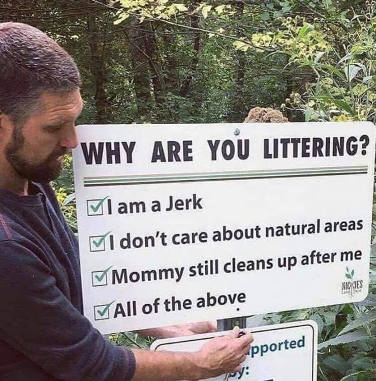 Content Image
