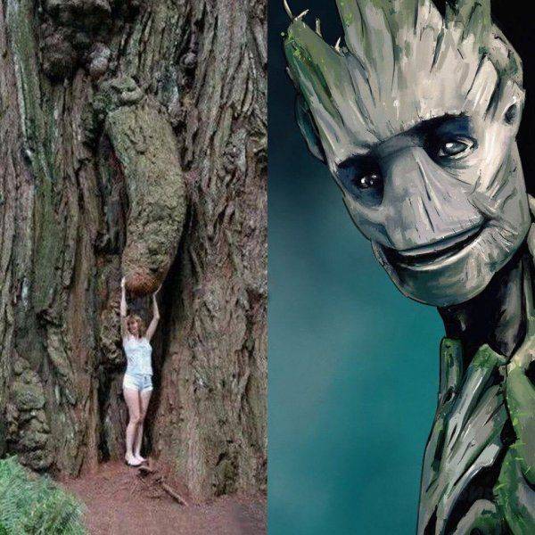 Content Image