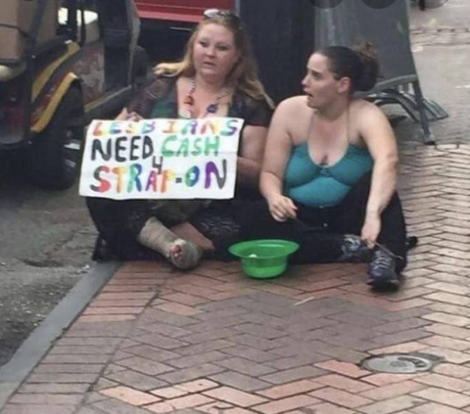 Daily Picdump