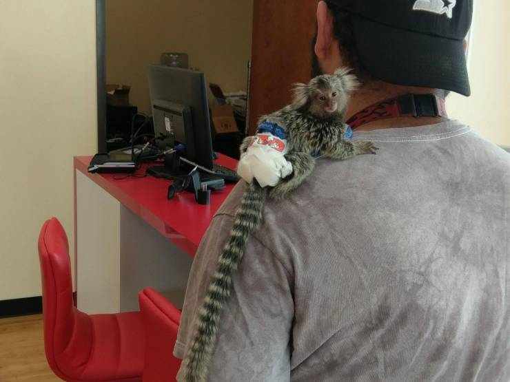 Daily Picdump