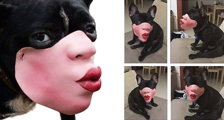 Content Image