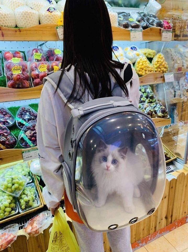 Content Image