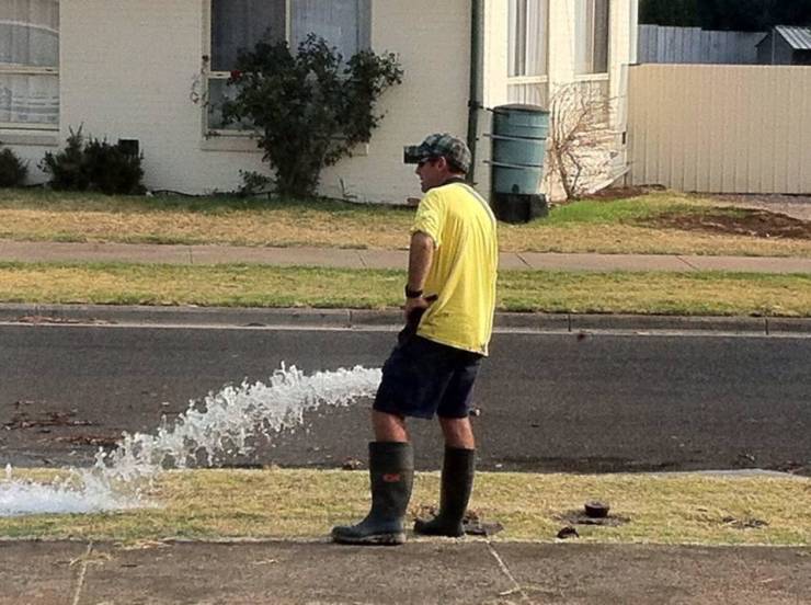 Funny Picdump