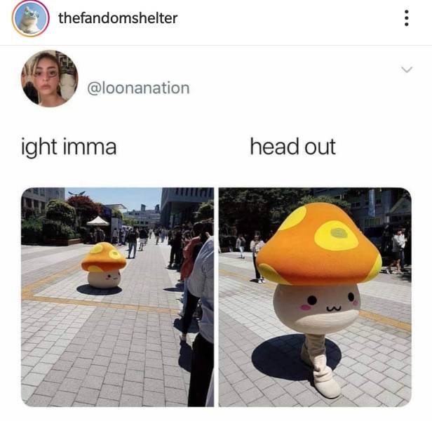 Funny Picdump