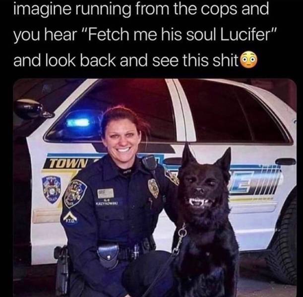 Funny Picdump