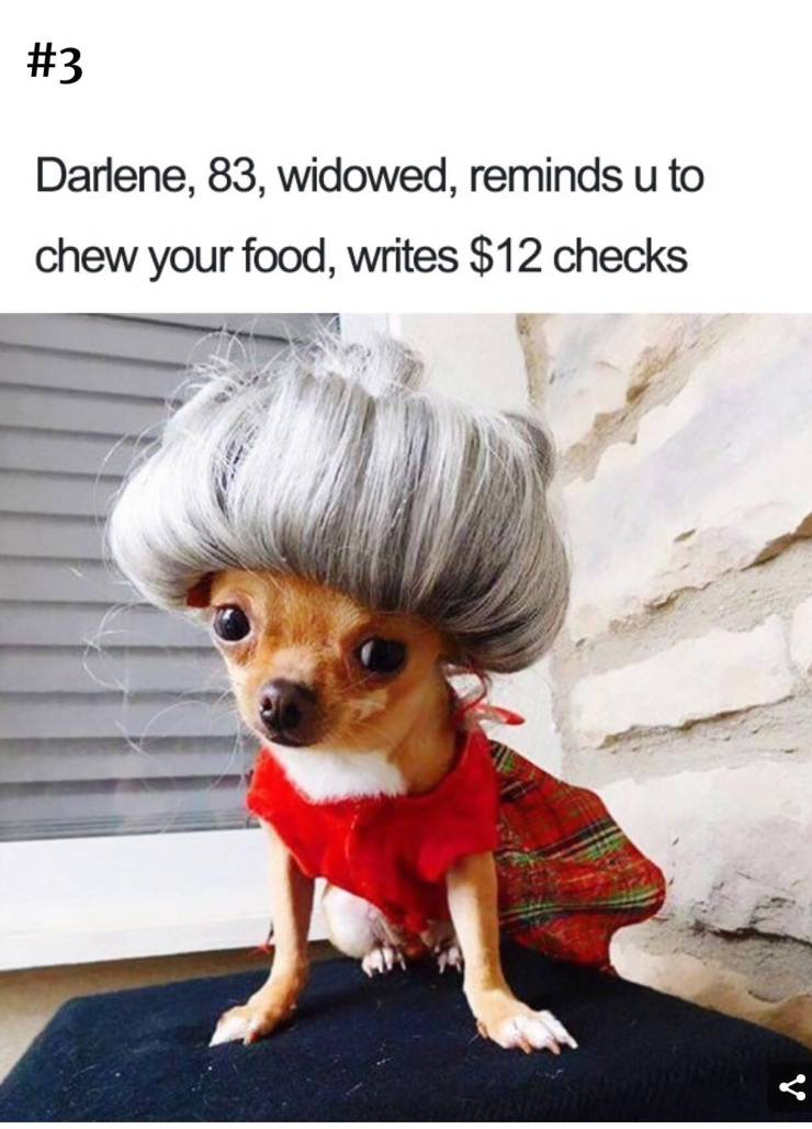 Funny Picdump