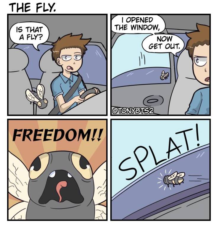 Content Image