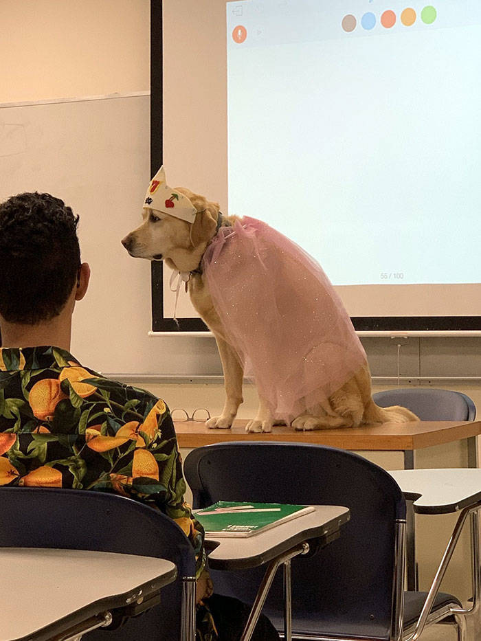 These Teachers Are The Best!