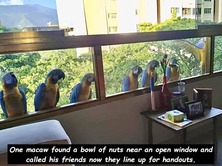 Daily Picdump