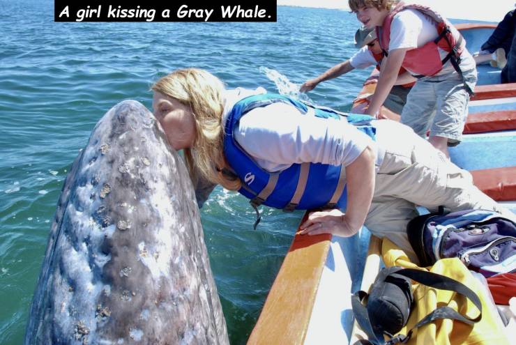 Daily Picdump