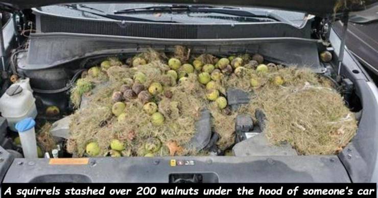 Daily Picdump