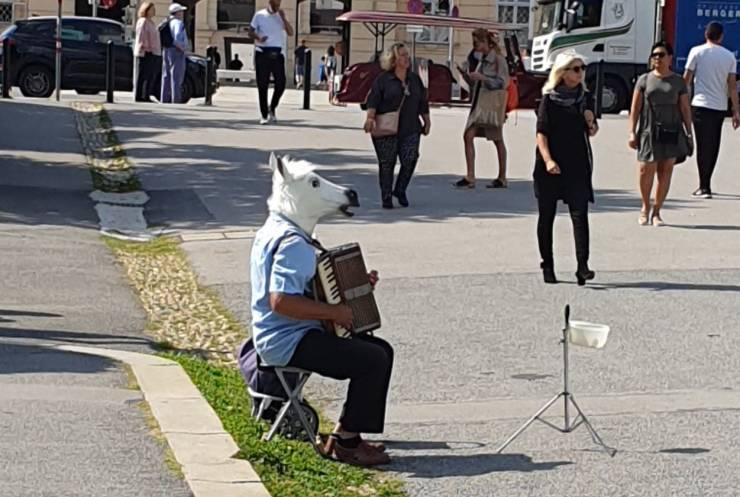 Content Image