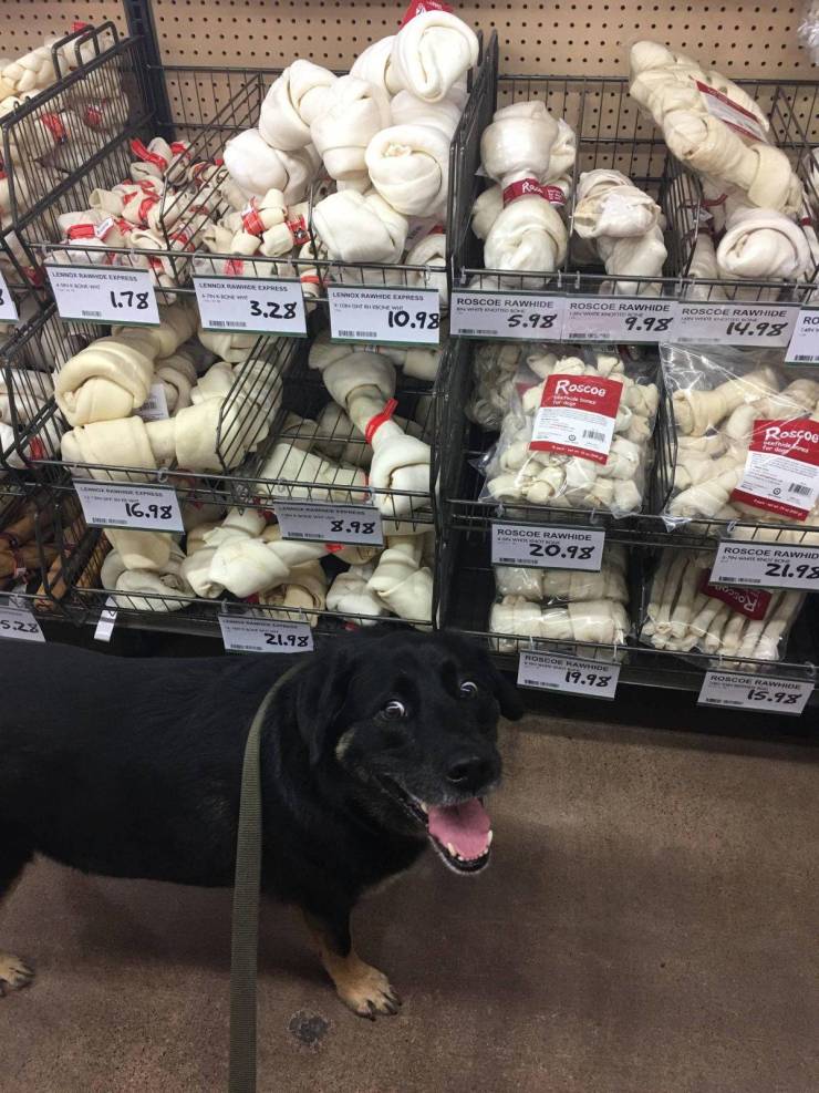 Content Image