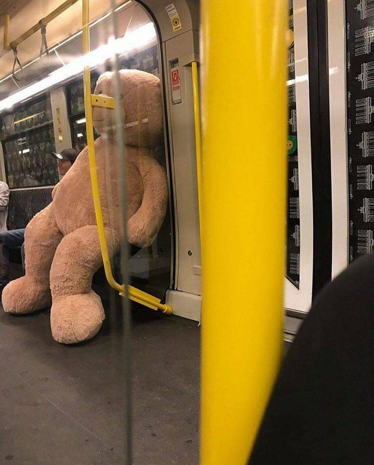 Content Image