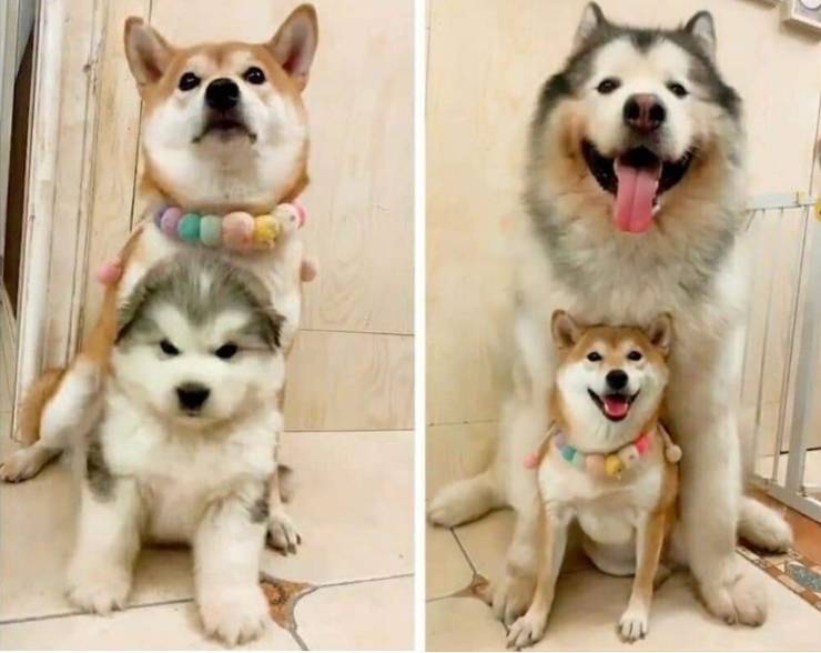 Content Image