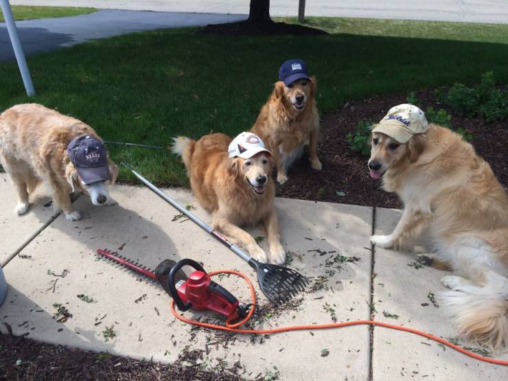 Daily Picdump
