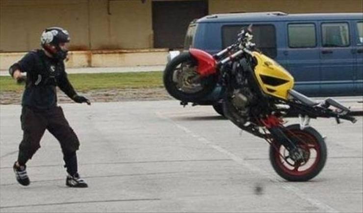 Daily Picdump