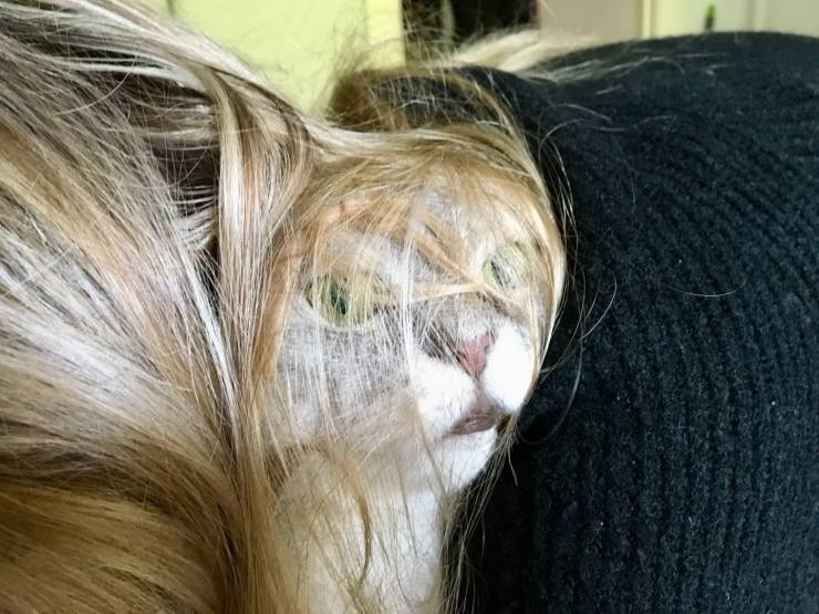 Daily Picdump