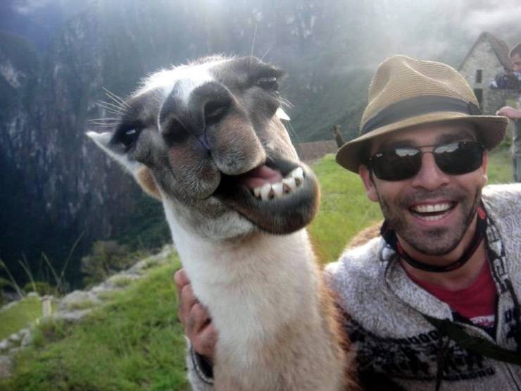 Daily Picdump